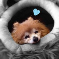 다시, 봄🌱 (@silence97) 's Twitter Profile Photo