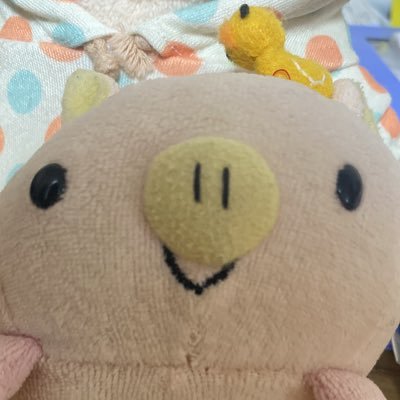 oyasumi_ashita_'s profile picture. 満足したいけどしたくなくて