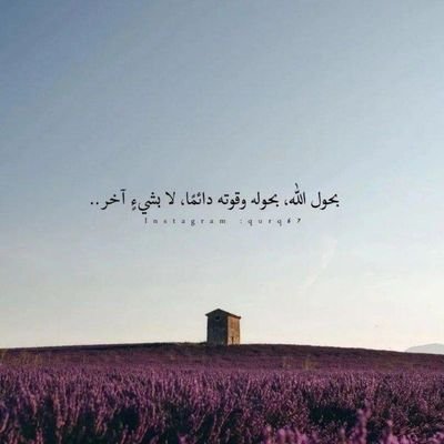 ( إنْ كان لحياتكَ ثمنٌ فلا تشترِ بهِا غيرَ القربَ الإلهي )
 أي ربّي ماذا وجدَ منْ فقدكَ؟
 و ما الذي فقدَ منْ وجدك؟
