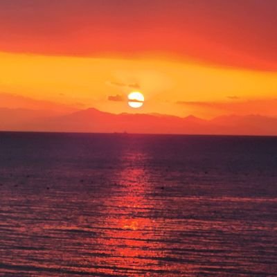 harukaze077's profile picture. ピアノを始めました🍀