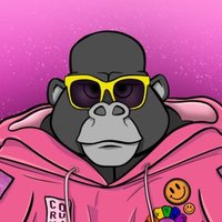 Quantic (@0xquantic) 's Twitter Profile