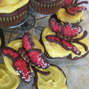 Joy Wolf - @TheJoysofCaking - Twitter