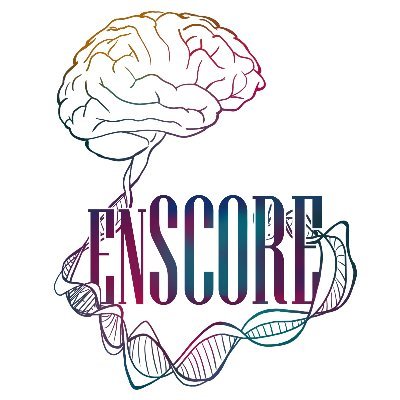 Université Paris Cité's enSCORE platfom offers technical and scientific support to researchers for the generation of neural organoids derived from iPSc