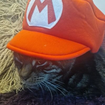 zensho_yusho's profile picture. flags ❌️