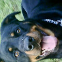 jane sinclair - @jps2761 - Twitter