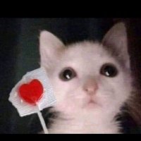 MΔRIΔ'$ (@meryposaxx) 's Twitter Profile