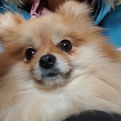 Piotr73427's profile picture. stat rosa pristina nomine nomina nuda tenemus