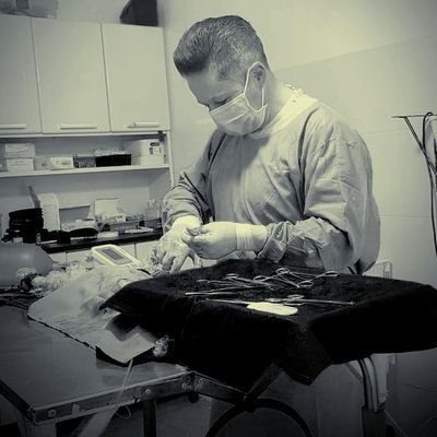 gerterrier's profile picture. 