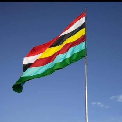 The_Aryabhatta's profile picture. 