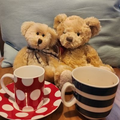 We are teddy  bears looking for adventure. Follow us to see what we get up to and where we go!