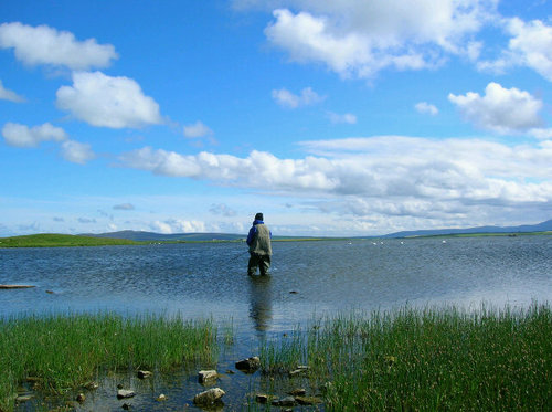 Ishbel_'s profile picture. Everything is my own opinion, past Chair AAPT, work as APT, juggle rotas to go to Scotland Rugby Internationals, like F1 & Sancerre. Have a wild cat & a Paul