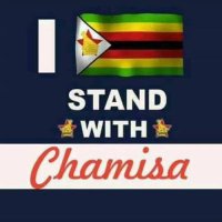 Concerned Zimbo 🇿🇼💙💙💙(@Costamaera) 's Twitter Profile Photo