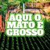 Aqui o Mato é Grosso (@twitteiros_mt) Twitter profile photo