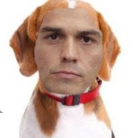 Alvise Seki (@alviseseki) 's Twitter Profile Photo
