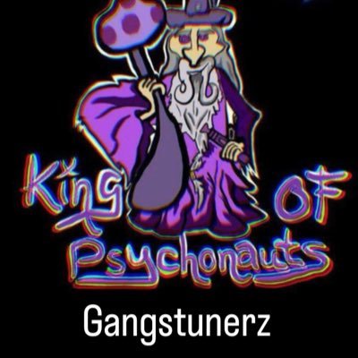 Gangstunerz Profile