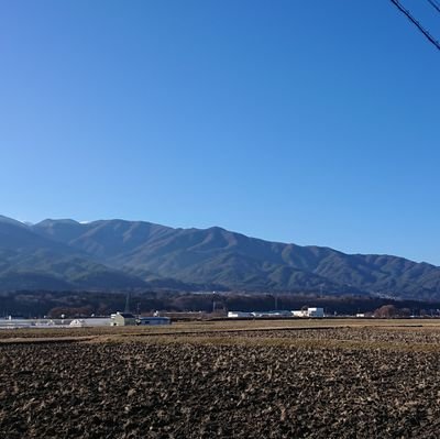 bonchinotami's profile picture. 