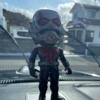 ラザニア好きのくまなり (@lasagnan_lasa2) Twitter profile photo