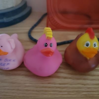 ScottSiddall's profile picture. 