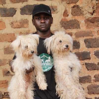 A Man on a mission to save 10,000 dogs a month from streets.Feed and save dogs.Positive and inspiring dog content🐕🐾BUILDING A SAFE HEAVEN FOR STRAY DOGS.