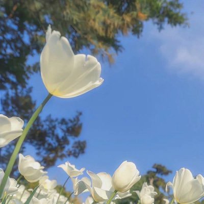 ririsoktaviaaa's profile picture. 