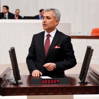 Öğretim Üyesi, SMMM, Ak Parti Şanlıurfa Milletvekili, Cumhurbaşkanlığı Strateji ve Bütçe Başkanlığı