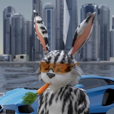 anil_anh's profile picture. 