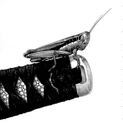 cibleug's profile picture. 