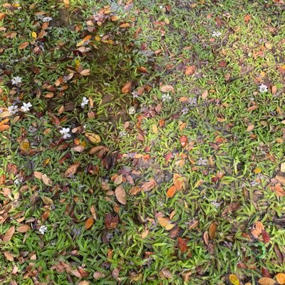 127dayswn3t's profile picture. 