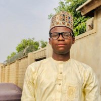 Ibrahim alhaji maina (@iamibmaina1) 's Twitter Profile