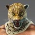 @KING_EVANS_2022