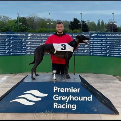 Liverpool fan ⭐️⭐️⭐️⭐️⭐️⭐️ greyhound owner