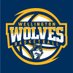 Wellington Wolves (@wellywolves) Twitter profile photo Wellington Wolves (@wellywolves) Twitter profile photo