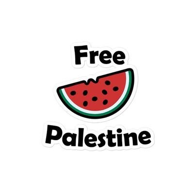 🇵🇸