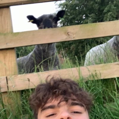 maccieshl's profile picture. Manager in https://t.co/cD4TAfNgXv