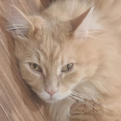 zx7756's profile picture. 