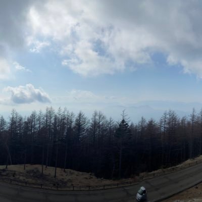 LoveEntangle's profile picture. 