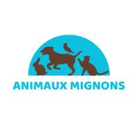 animaux mignons(@_animauxmignons) 's Twitter Profile Photo