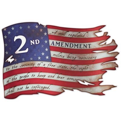 Defender of Freedom | 2nd Amendment Advocate | Proud American | Join me in celebrating liberty and the 2nd Amendment!