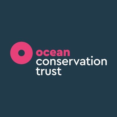 We’re Ocean optimists taking action to protect and restore nature for the future 🙌 #thinkocean #bluemeadows