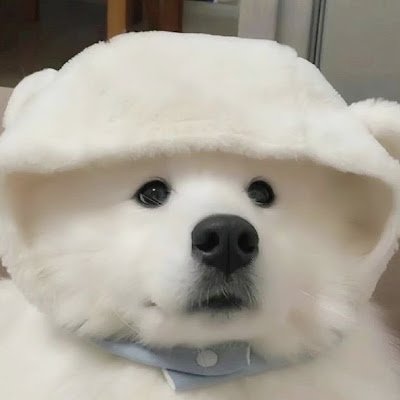 Real6th_Month's profile picture. หม่ามี๊ตะหนูยูซอนโฮ