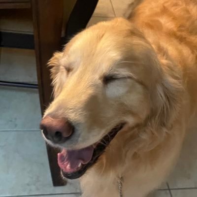 blueberries378's profile picture. @@