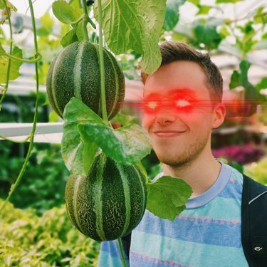 MrMelonadeFX Profile Picture