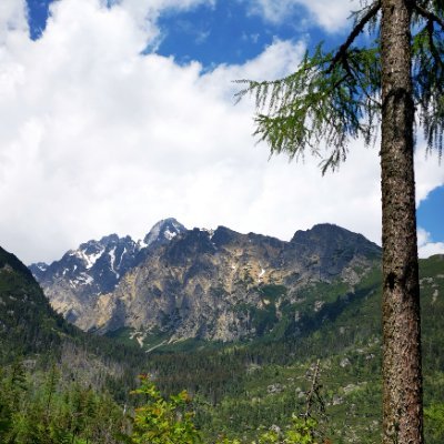 Briss251's profile picture. 😈😈⬇️⬇️🍑🍑