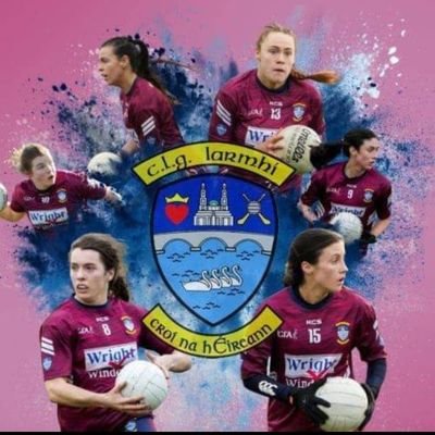 Westmeath LGFA Profile