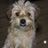 lourdes_453's profile image