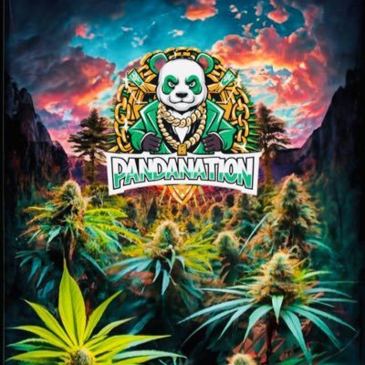 420PandaNation Profile Picture