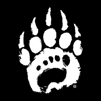 Bearfoot_Co Profile Picture