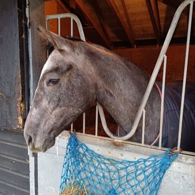 E1eonoraGonzaga's profile picture. 