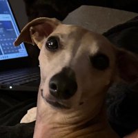 Fiona Quinn (@fionaqu88333445) 's Twitter Profile