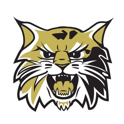 Wayne County Wildcats